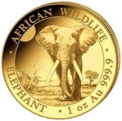 Somalian Gold Coins